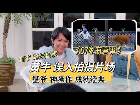 《家有喜事》：黄牛误入片场，周星驰神来之笔造就经典！