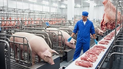 Inside the Pork Processing Factory: From Farm to Sausages & Ham (Full Process)