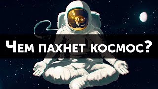 Чем пахнет космос? [Plushkin]