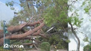 Monsoon storms leave behind damage