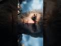 Black Myth: Wukong Graphics itne Real ke aankhein khul jayengi #Wukong #Shorts