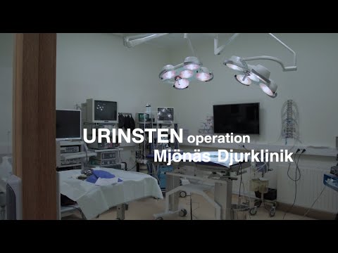 Video: Patientsäkerhet, Kostnadseffektivitet Och Livskvalitet: Minskning Av Deliriumrisk Och Postoperativ Kognitiv Dysfunktion Efter Elektiva Förfaranden Hos äldre Vuxna - Studieprotokoll