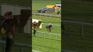 Royale Pagaille Wins The Betfair Chase
