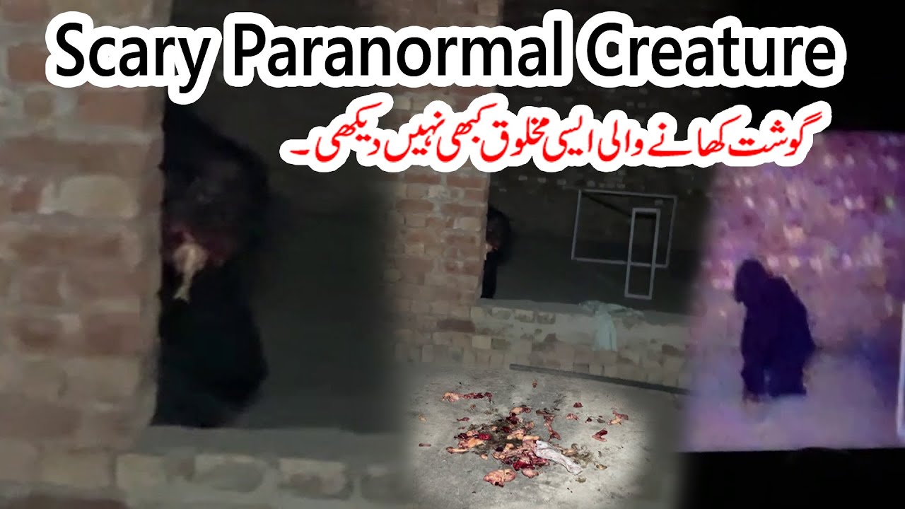 Scary paranormal creature record on camera - Ghost Caught On Camera ...