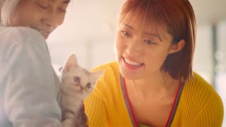 王林、可愛い子猫にメロメロ　メーキング映像ではまさかの猫と会話!?　ボートレース新CM「アイ アム ア ボートレーサー」第8話