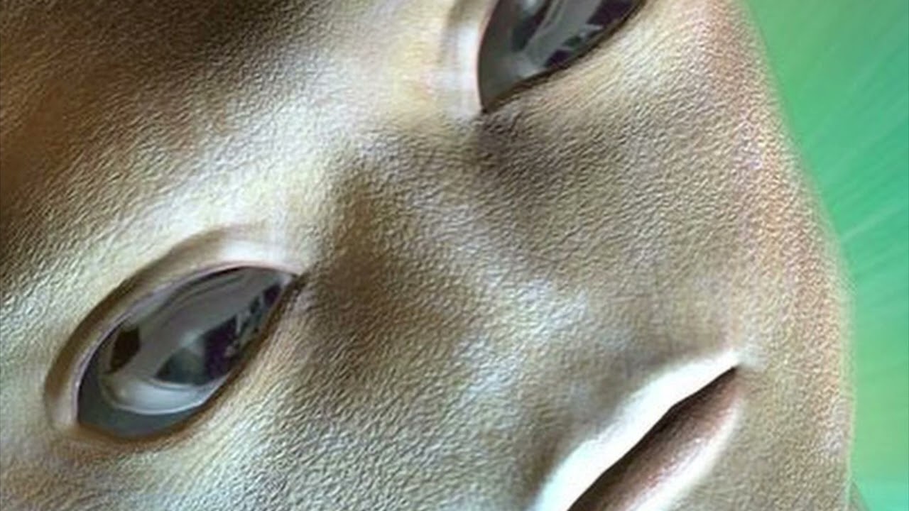 Lil Tracy - Not Just Anybody (prod. PlutoBeatz & Coastal)