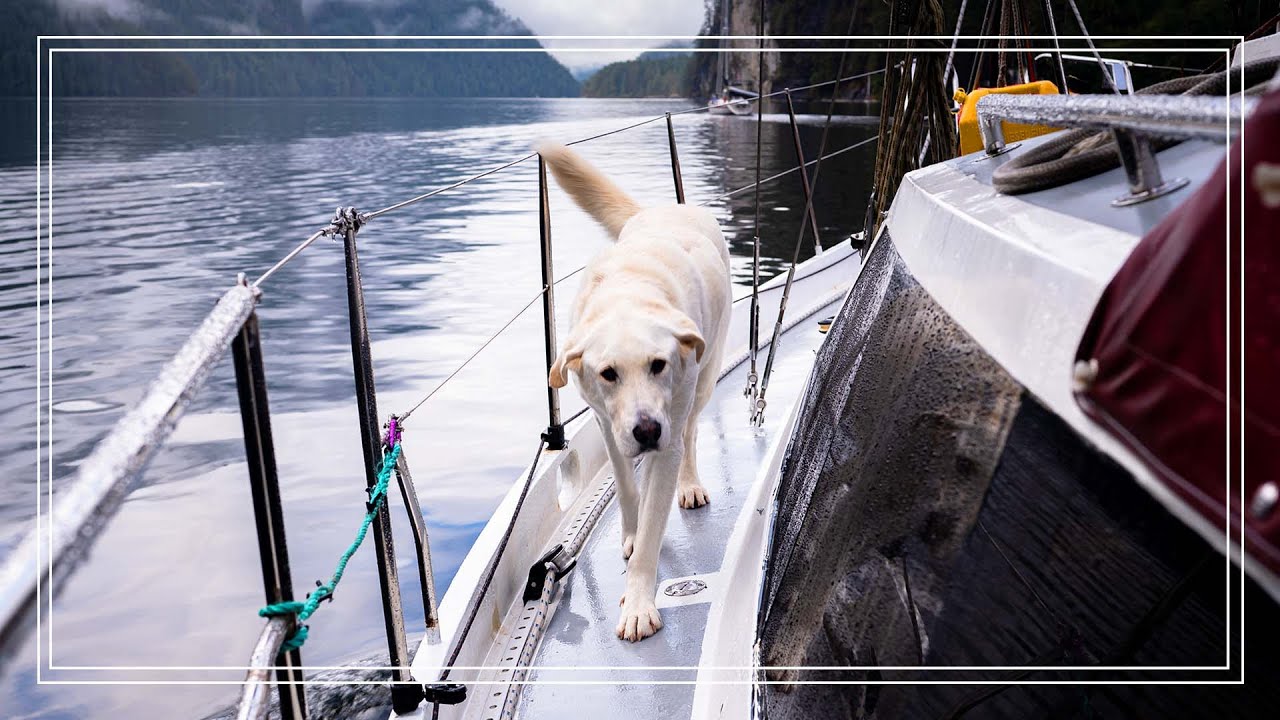 Sailing From Princess Louisa Inlet to Nanaimo- Pacific Northwest Sailing | Ch4E47 | The Wayward Life