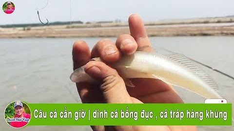 Câu cá cần giờ | dính cá bống đục , cá tráp hàng khủng/ goby fishing, sea  bream |Thanh Phúc Vlogs