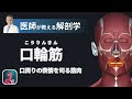 口輪筋とは？【医師による解剖学解説】