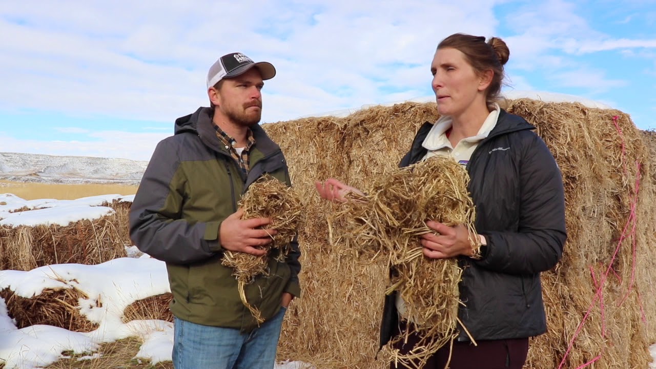 IND HEMP- US Hemp Build Summit 2020