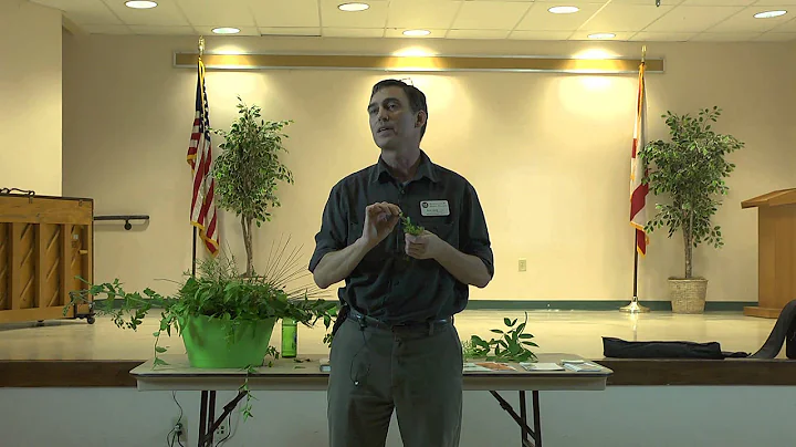 Medicinal Herbs with Robert Linde