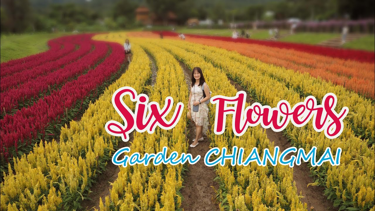 SIXFLOWERS GARDEN YouTube
