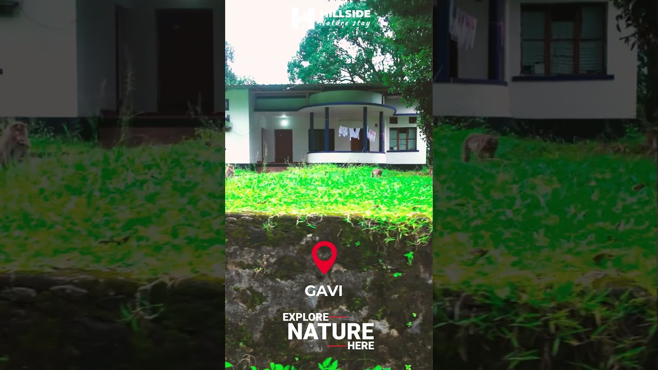 🌿 Plan Your Escape to Gavi! 🌿I Hillside Naturestay 