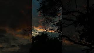 #اكسبلور #yasseraldossary #islamicprayer #duet #qod #islamicrecitation #love #qanoatzoda