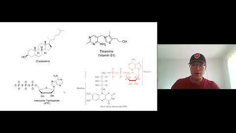 Lecture Video Ch4 12   Intro to cycloalkanes