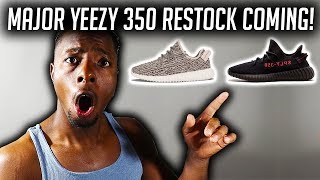 restock turtle dove