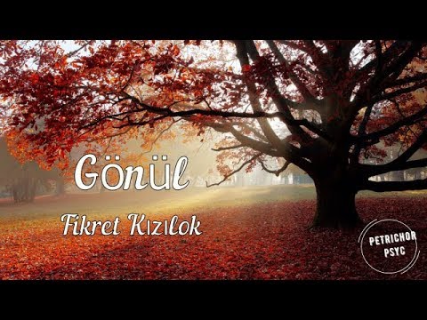 Fikret Kızılok - Gönül (Şarkı Sözü/Lyrics) HD