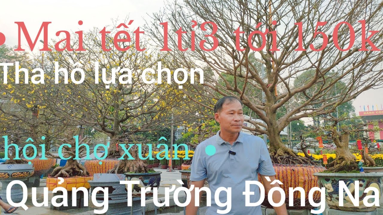 Hội chợ xuân tết Binh Ngọ 2026 Quảng trường tỉnh Đong nai cây mai tiền tỉ tha hồ lựa chọn 