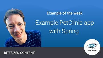 Example Pet Clinic App with Spring