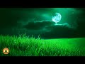 Deep Healing Music, Relaxing Music, Calming Music, Sleep Music, Study, Zen, Nature Sounds ☯3214