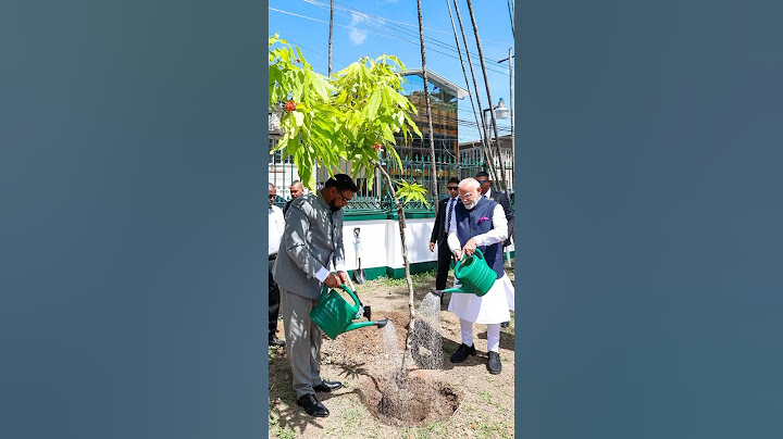 PM Modi takes part in Ek Ped Maa Ke Naam initiative in Guyana | #shorts
