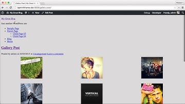 [Lập trình theme WordPress - 10] Viết code cho single.php và page.php
