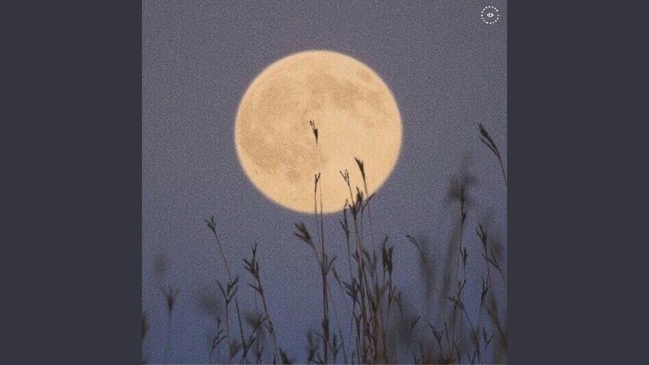 Guarda Warmth su YouTube Guarda Warmth su YouTube