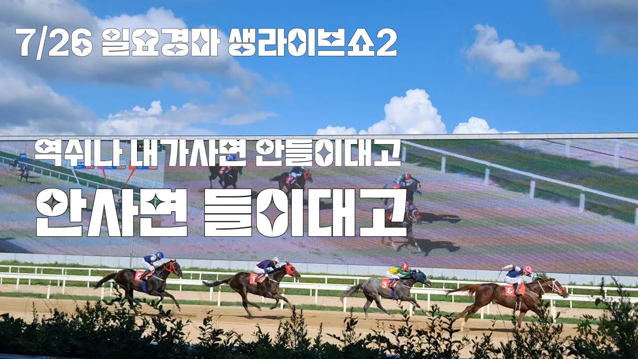 역쉬 경마는 무조건마추면 장땡입니다! (7/26 서울.부산 생라이브쇼2)