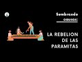 La rebelión de las paramitas