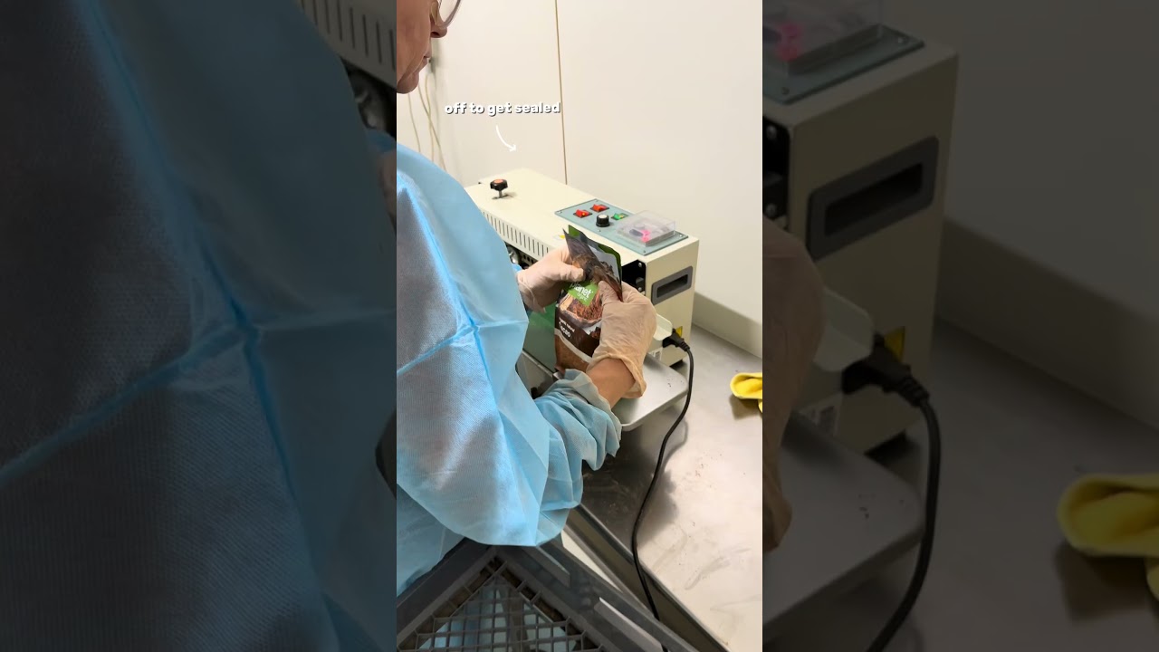 Packing Limited Edition Certified Organic Cacao Powder in New Bulk 500g