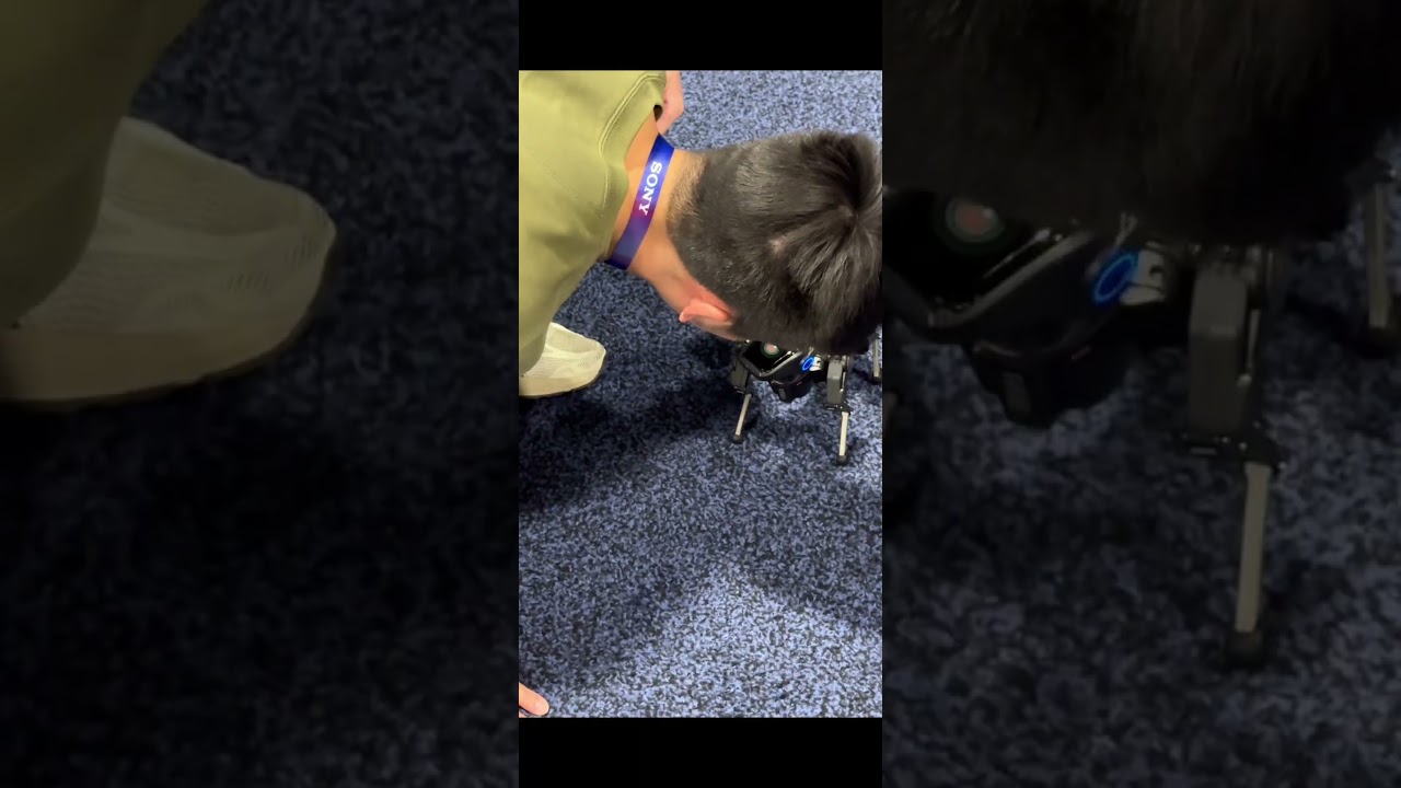CES2025: Sirius Robot from Hengbot Robotics