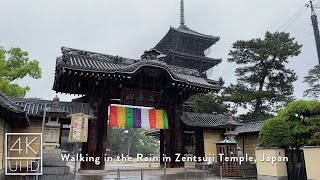 4k ASMR | Walking in the Rain in Zentsuji Temple, Japan | Binaural Rain Sounds for Sleep and Study