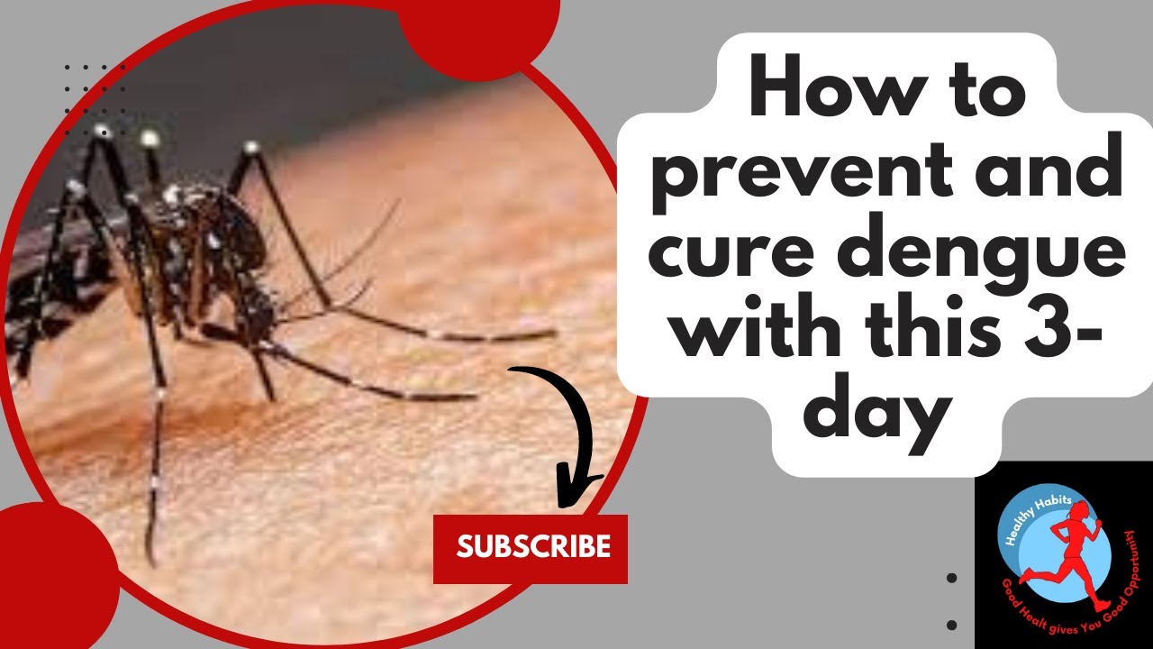 how to prevent dengue fever with this simple 3-day diet plan! @Dimpy9 # ...