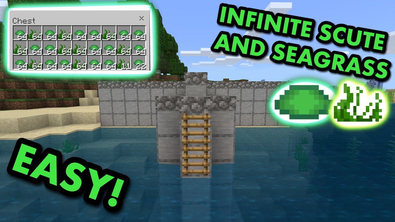 SIMPLE 1.20 TURTLE SCUTE FARM TUTORIAL in Minecraft Bedrock (MCPE/Xbox