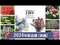 PW2024新品種のご紹介 [後編]