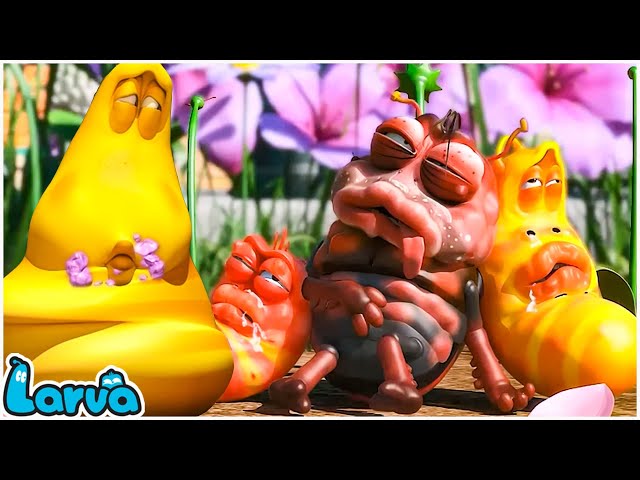 [Official] Larva New 2024 - The Funny Revenge - Cartoon New - Fun Clips from Animation LARVA. class=