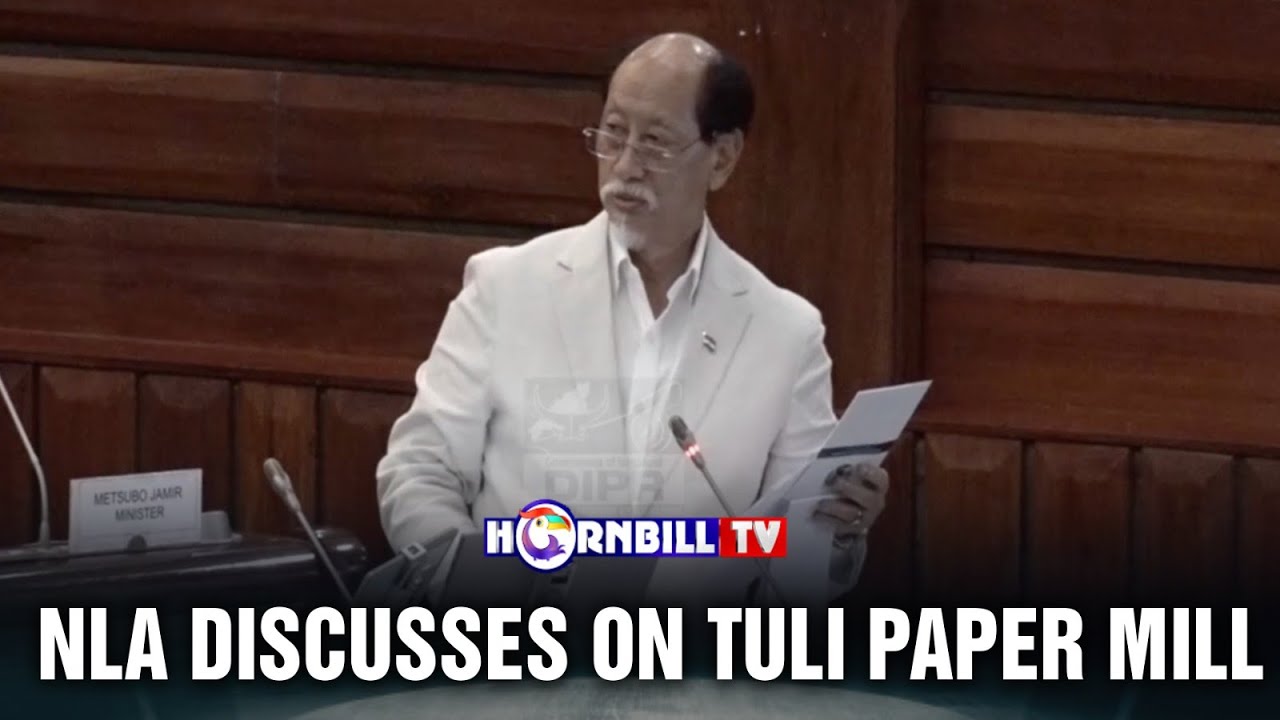 NLA DISCUSSES ON TULI PAPER MILL