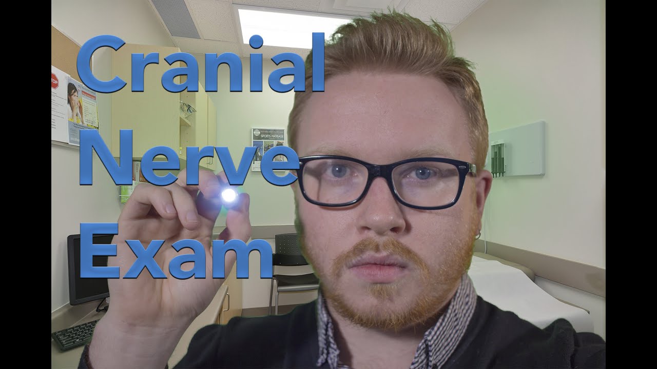 Scottish Cranial Nerve Exam ASMR