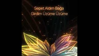Aslı Gökçe - Evlerinde Bir İpekten Halı Var