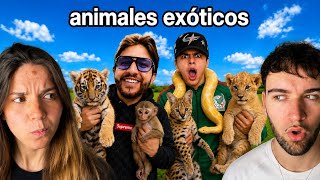 LONCHE y WILLITO Compran ANIMALES EXOTICOS 🦁🐍😱