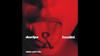 Dua Lipa - Houdini (Adam Port Mix)