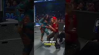 Bella Twins Issue Demand to WWE