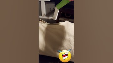 OMG! HELP!🤣🐱 Funny Ragdoll Cat ATTACKS ME AGAIN! | funny cat | #Shorts