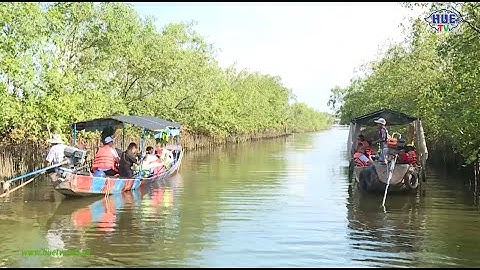 Du lịch xanh, giảm nhựa ở Huế và những bước tiến khởi sắc