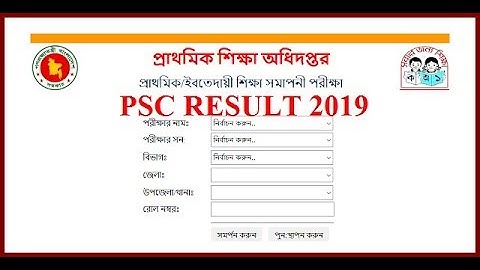 PSC Result 2019 bd | psc exam result 2019 | PSC Result | www dpe gov bd| pec result