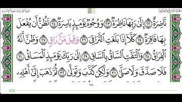 سورة القيامة من الاية ٢٠ الى الاية ٤٠ القارئ محمد ايوب