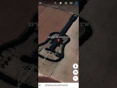 Guitar Shape Forest
