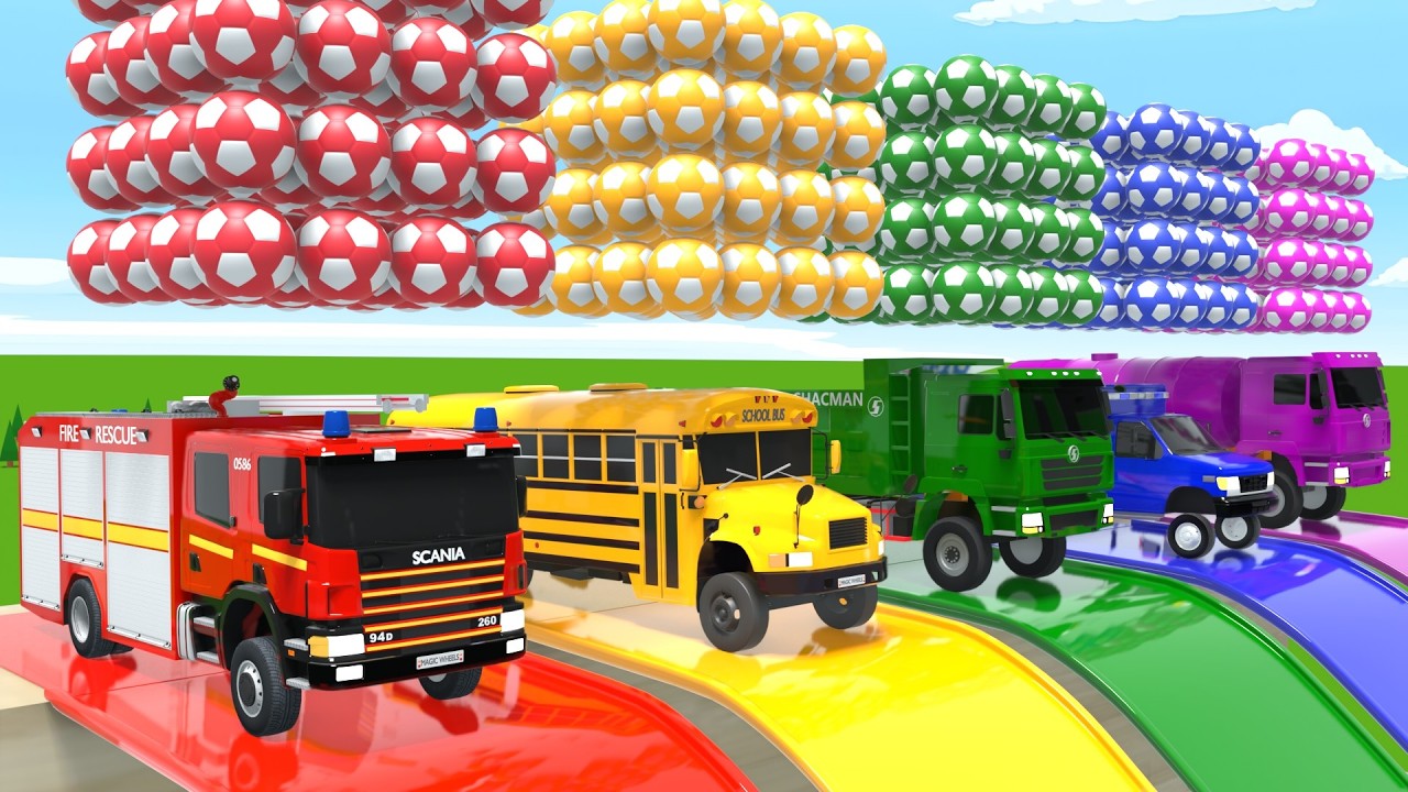 Bébé Requin + Chanson de Bingo – Roues en forme de ballon de football et Bus scolaire – Comptines