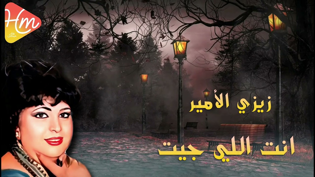 زيزي الأمير - انت اللي جيت