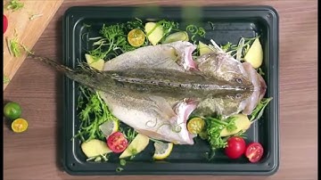 Lò Chiên Không Dầu Kết Hợp Hơi Nước Đa Năng 26L Mishio MK319 - Lựa Chọn Hoàn Hảo Cho Mọi Món Ăn